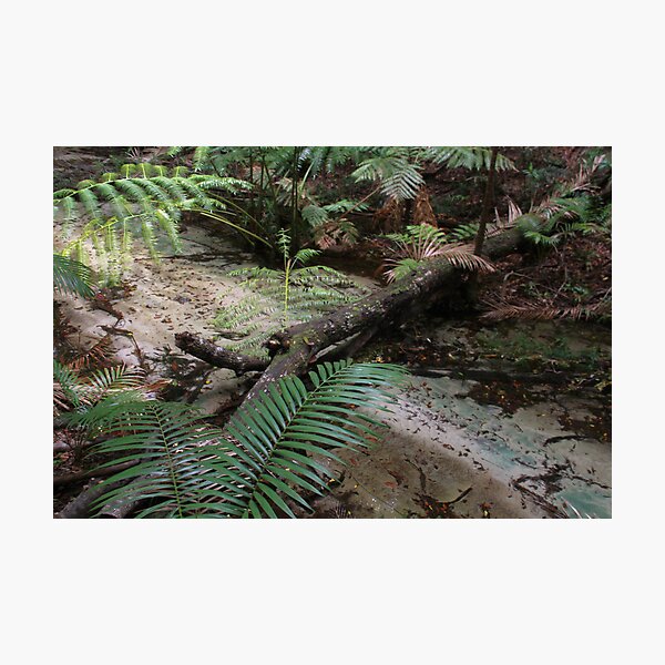 Item preview, Central Station, Wanggoolba Creek  designed and sold by smallan.