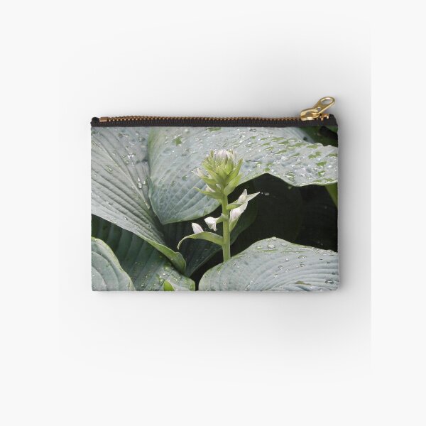 Item preview, Hosta designed and sold by Martha Medford.