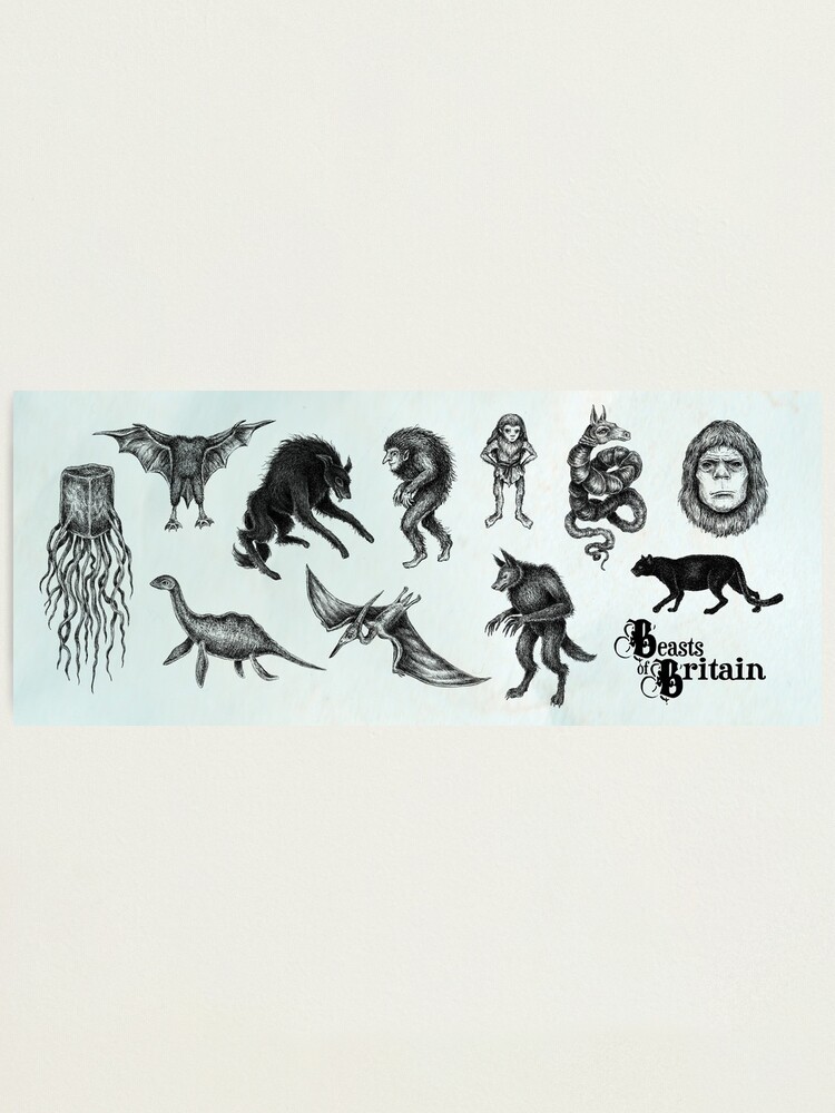 Alternate view of Beasts of Britain - Creature Feature Photographic Print