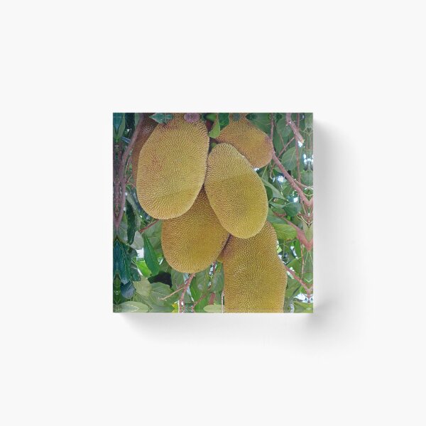 Item preview, Tropical Plantation Maui Study 9  designed and sold by Robert Meyers-Lussier.