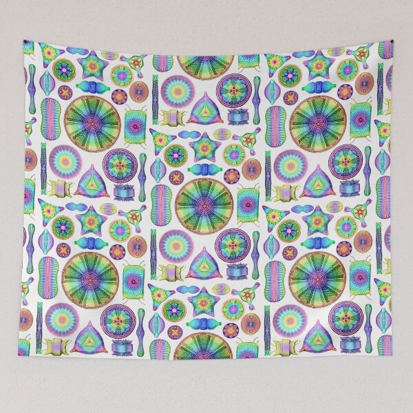 Item preview, Ernst Haeckel Rainbow Diatoms designed and sold by aimeewilson.