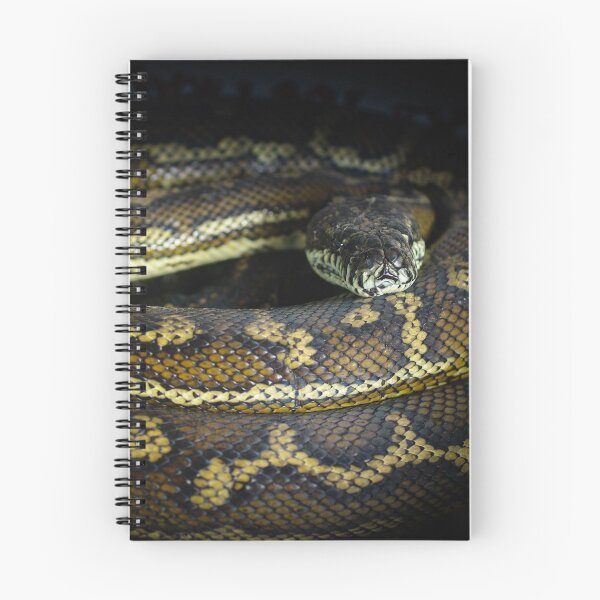 Item preview, A Python watching Me designed and sold by Clare Colins.
