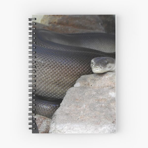 Item preview, Olive Python designed and sold by kirstybush.