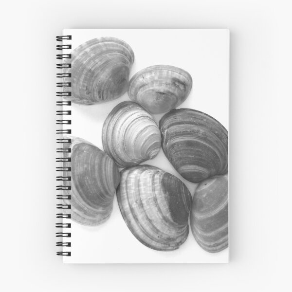 Item preview, SeaShells designed and sold by Kathie Nichols.
