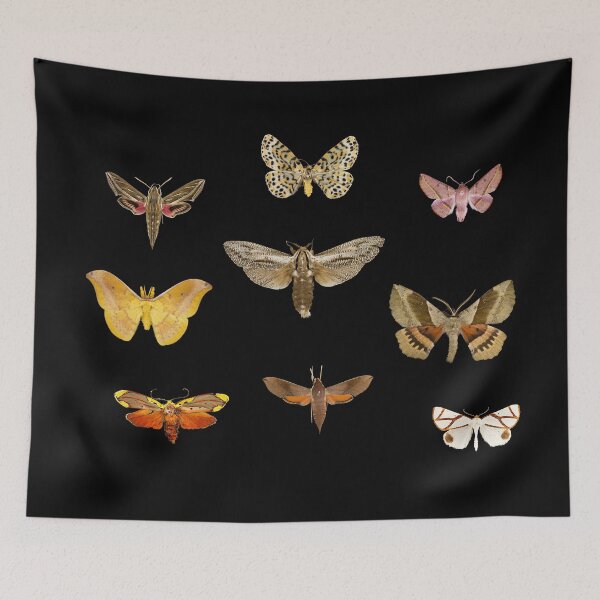 Item preview, Moth Pattern designed and sold by BiosecurityColl.