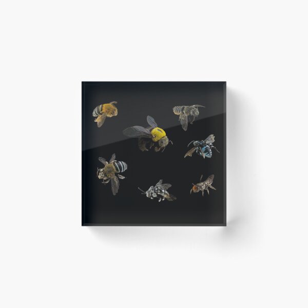 Item preview, Native Australian Bees pattern designed and sold by BiosecurityColl.