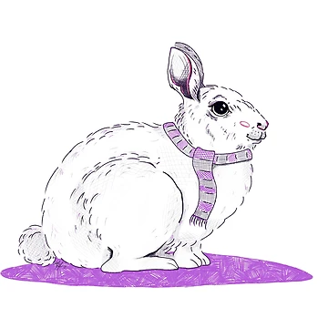 Artwork thumbnail, Winter Rabbit by Isobel Baker