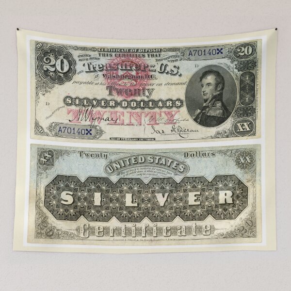 Item preview, $20 (Twenty Dollar Bill) Silver Certificate Series of 1878 designed and sold by allhistory.