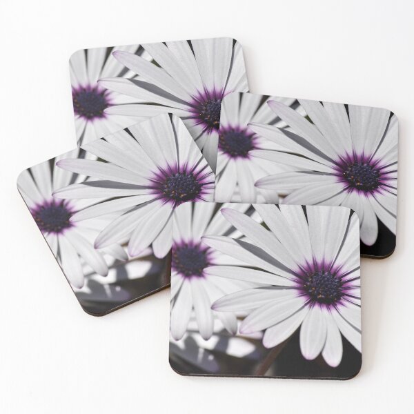Item preview, Top Down Daisies designed and sold by tchnclrdydrm.