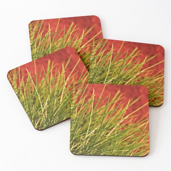 Item preview, Spinnifex Grass in Central Australia designed and sold by Ohlordi.