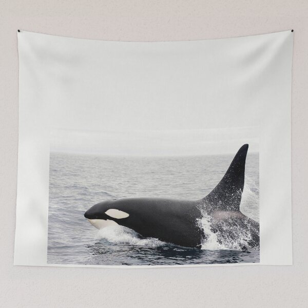 Item preview, Killer Whale, Orca, Alaska designed and sold by AlaskaExtreme.