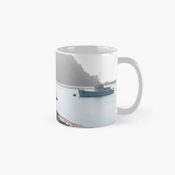Bird's Eye View Classic Mug
