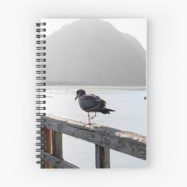 Item preview, Bird's Eye View designed and sold by AsEyeSee.