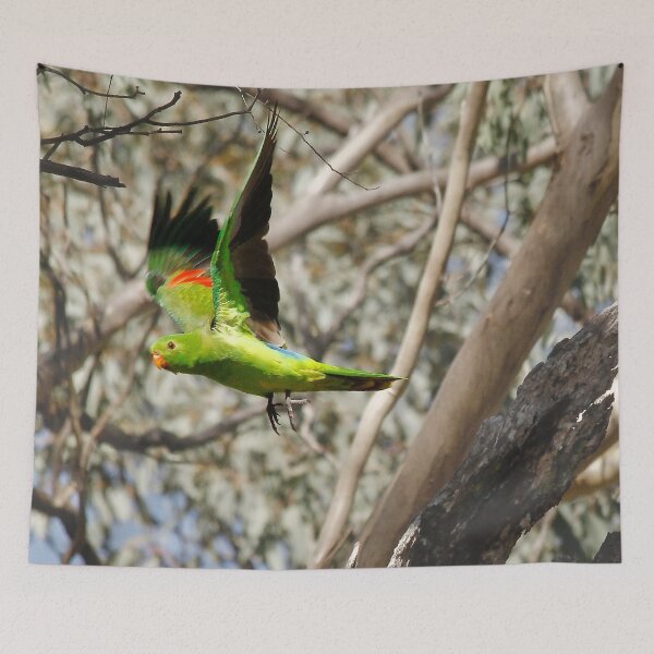 Item preview, King Parrot Free as a Bird designed and sold by Ohlordi.