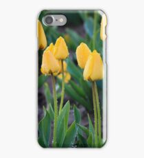 Yellow Tulips iPhone 7 Case