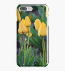 Yellow Tulips iPhone 7 Plus Case