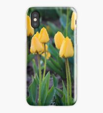 Yellow Tulips iPhone X Case