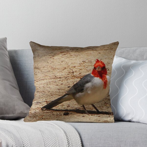 Artikelvorschau, Red Cardinal in Hawaii  entworfen und verkauft von maureenclark.