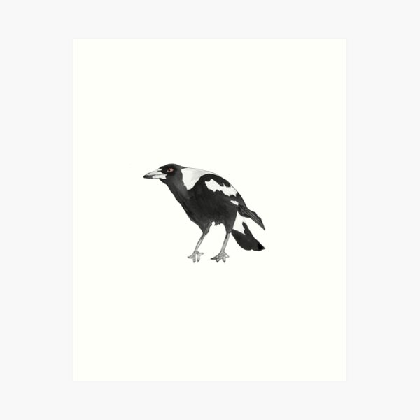 Item preview, Australian native magpie watercolour by Love Stax designed and sold by Lovestax.