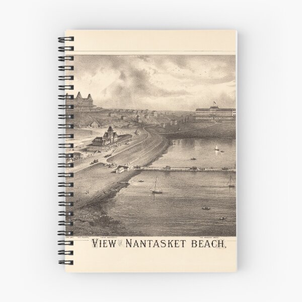 Item preview, View of Nantasket Beach Massachusetts (1879) designed and sold by allhistory.