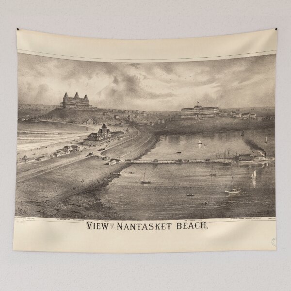 Item preview, View of Nantasket Beach Massachusetts (1879) designed and sold by allhistory.
