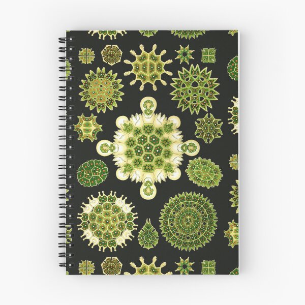 Item preview, Ernst Haeckel - Melethallia designed and sold by ShaMiLaB.