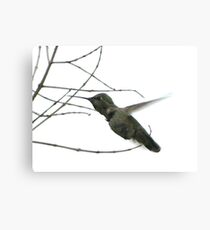 Untitled Canvas Print