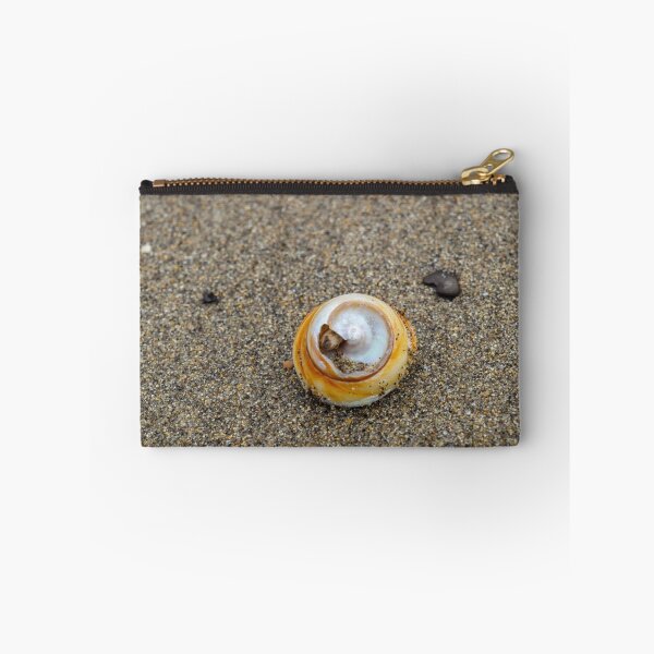 Item preview, A Shell to Remember designed and sold by smilinginsonoma.