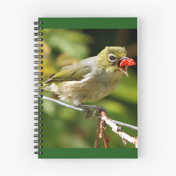 Item preview, Silvereye Snacking On A Raspberry designed and sold by Phil Le Cren.