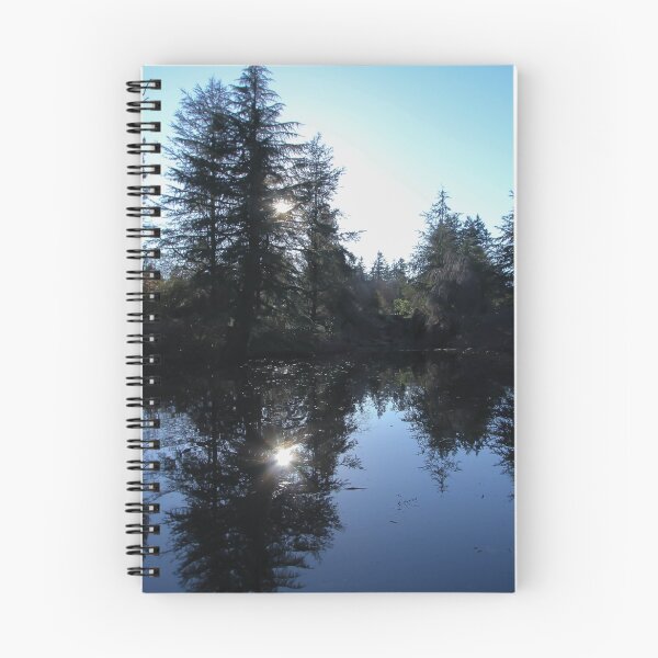 Item preview, Reflective Evening designed and sold by Marie  Cardona.