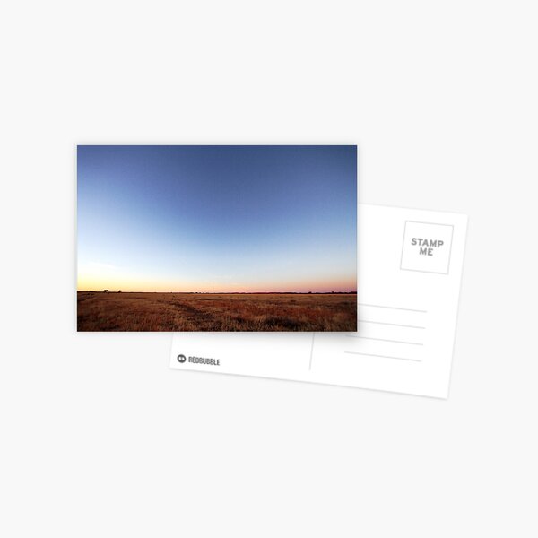 Dawn Over the Mitchell Grass Downs Postcard