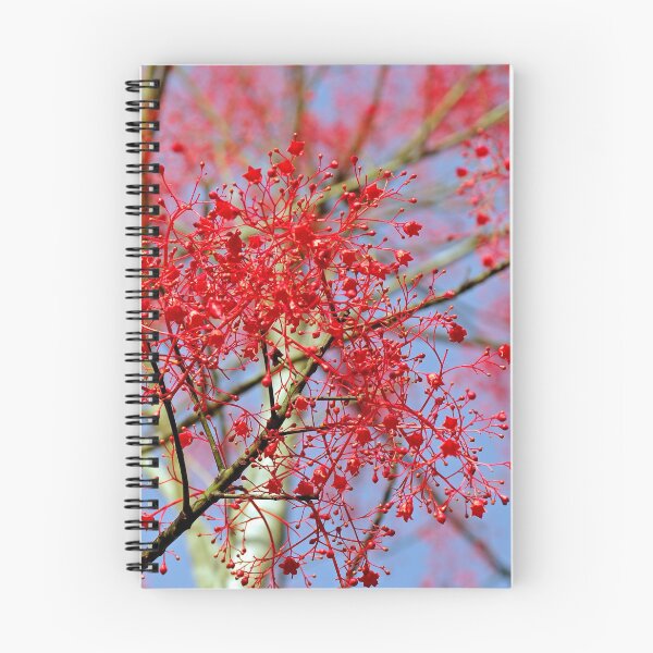 Item preview, Ablaze designed and sold by Kerryn Madsen-Pietsch.