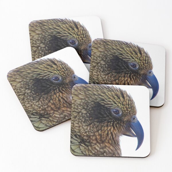 Item preview, Kea - New Zealand's Alpine Parrot (2) designed and sold by Phil Le Cren.