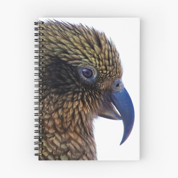 Item preview, Kea - New Zealand's Alpine Parrot (2) designed and sold by Phil Le Cren.