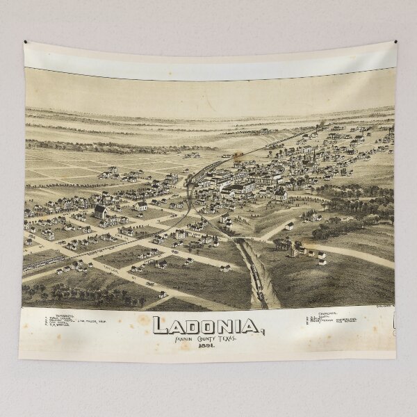 Item preview, Ladonia, Fannin County, Texas by T.M Fowler (1891) designed and sold by allhistory.