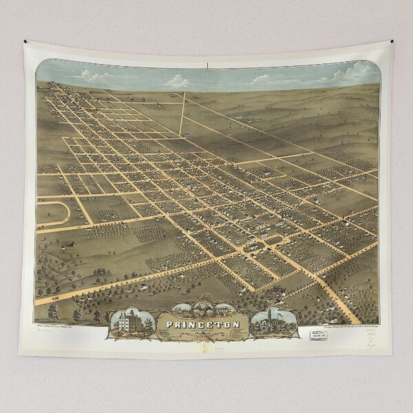 Item preview, Bird's eye view of the city of Princeton, Bureau County, Illinois (1870) designed and sold by allhistory.