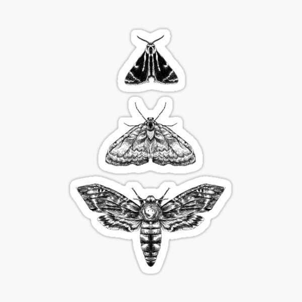 Moth Sticker