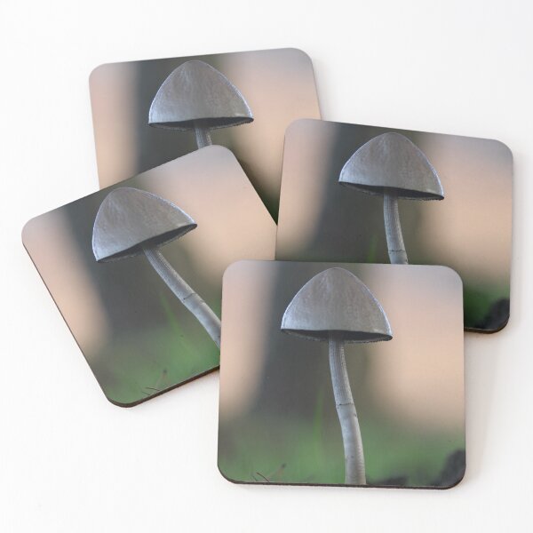 Item preview, Fungi - aiming high designed and sold by derbyshireduck.