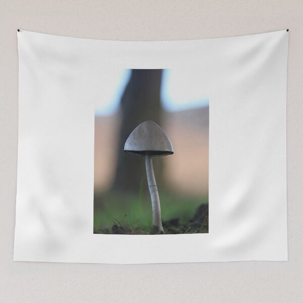 Item preview, Fungi - aiming high designed and sold by derbyshireduck.