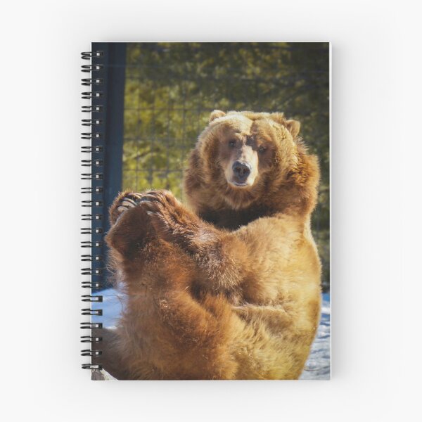 Item preview, Stretching Grizzly Bear designed and sold by JesseShawPhotos.