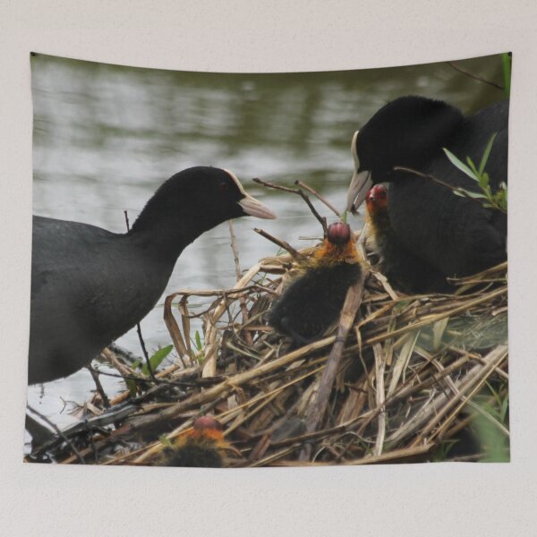 Item preview, Shared parenting designed and sold by cuprum.
