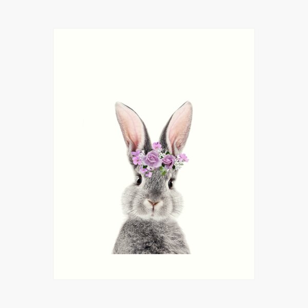 Bunny Face Wall Art for Sale | Redbubble