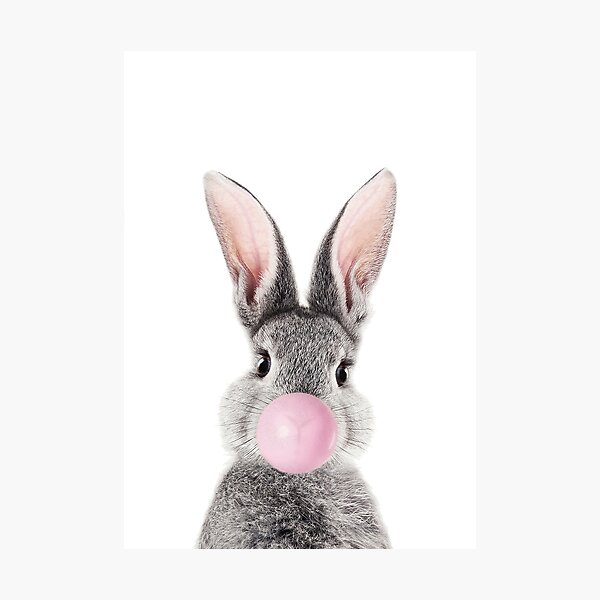 Bunny With Bubble Gum Photographic Print