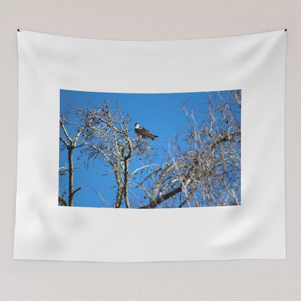 Item preview, Osprey Keeps Watch designed and sold by Cynthia48.