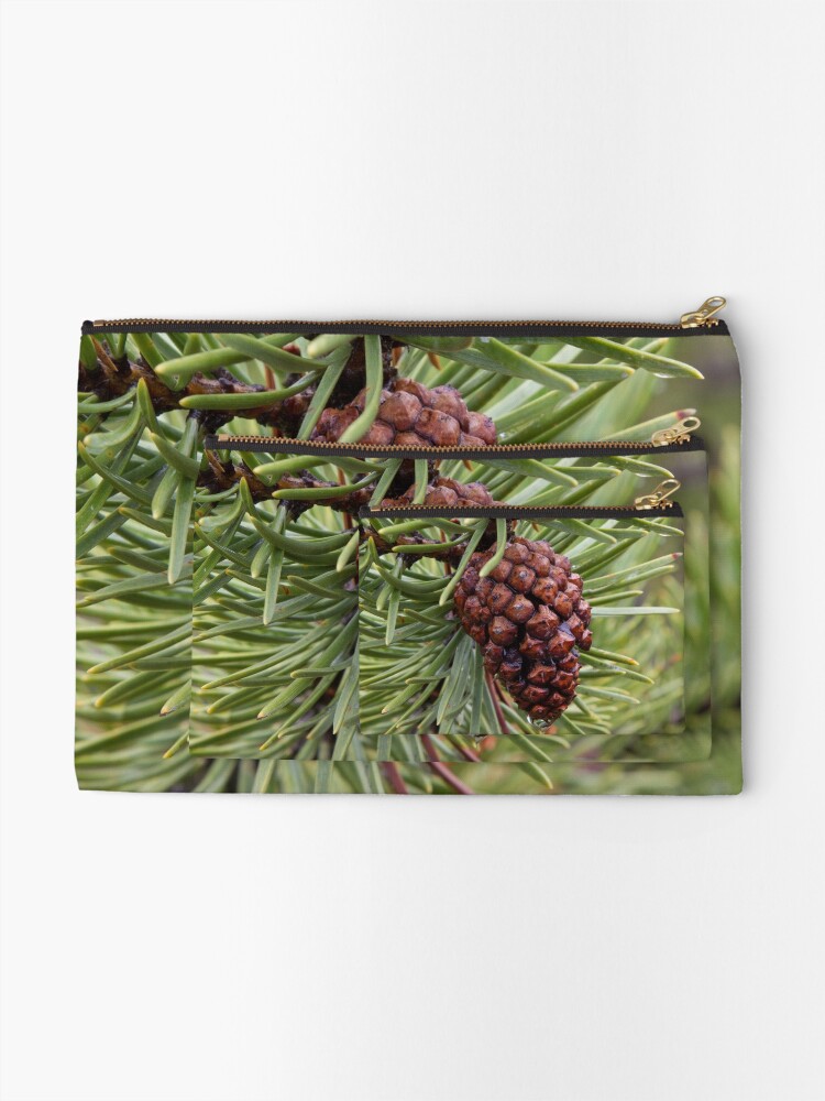 Thumbnail 2 of 4, Zipper Pouch, Pine Cone designed and sold by WorldDesign.
