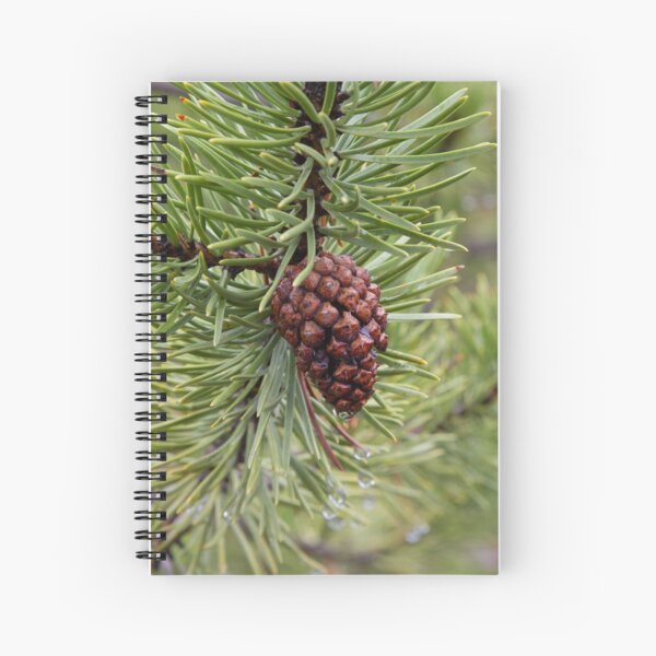 Item preview, Pine Cone designed and sold by WorldDesign.