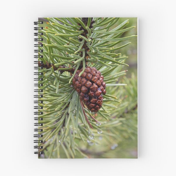 Item preview, Pine Cone designed and sold by WorldDesign.