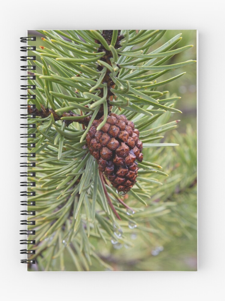 Thumbnail 1 of 3, Journal, Pine Cone designed and sold by WorldDesign.
