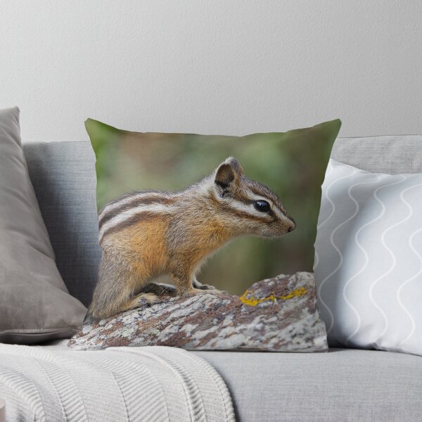 Item preview, Chipmunk designed and sold by WorldDesign.