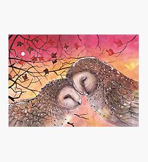 Lámina fotográfica Owl Cuddle
